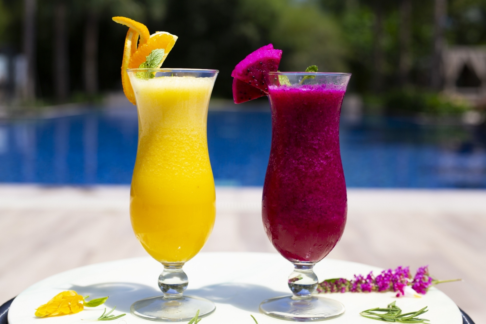 SOL BAR 歌手演唱_館內活動_最新消息 秧悦美地度假酒店 台灣唯一七感療癒花園度假酒店